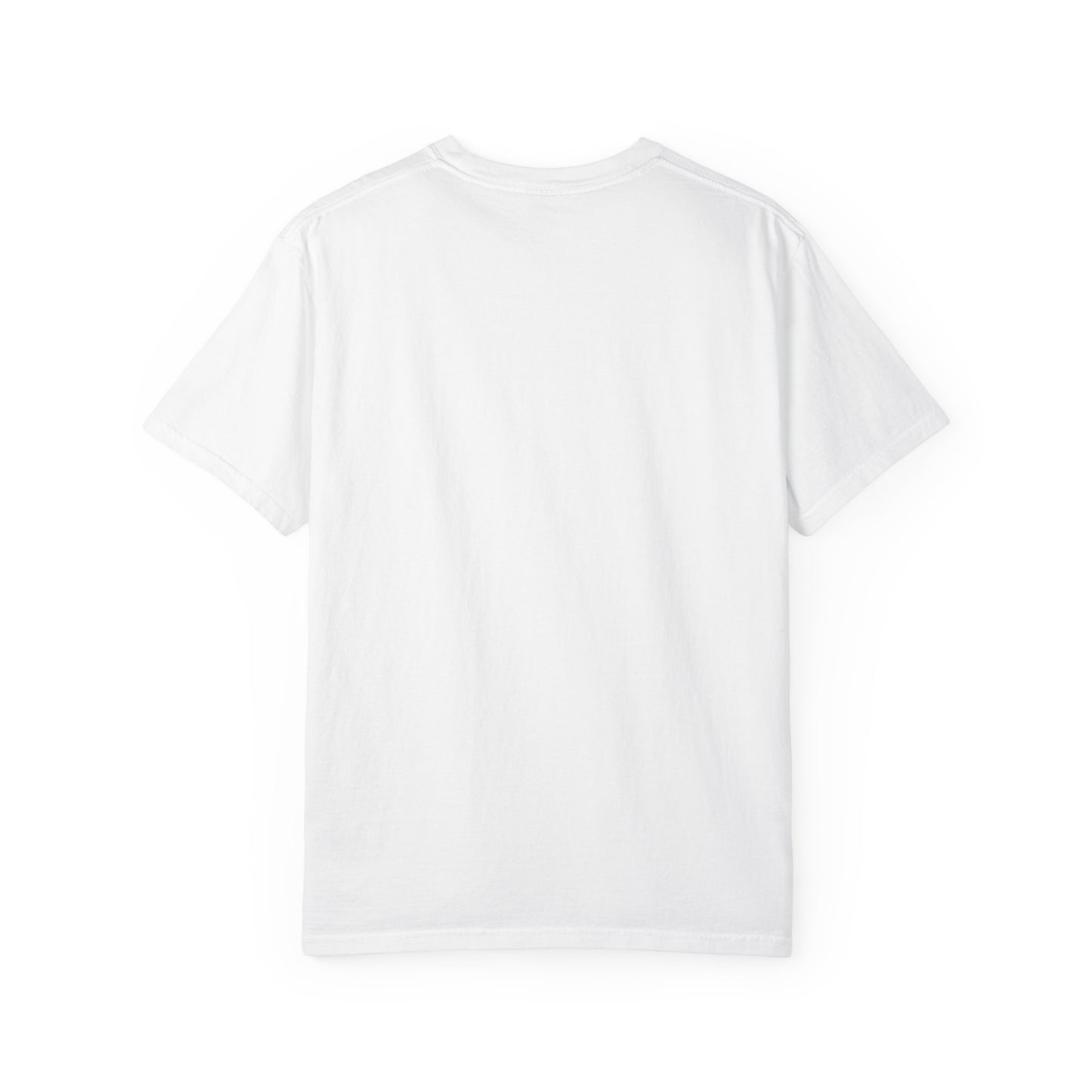 Being Sober Is Something to Be Proud Of T-shirt | Sober Pride Tee