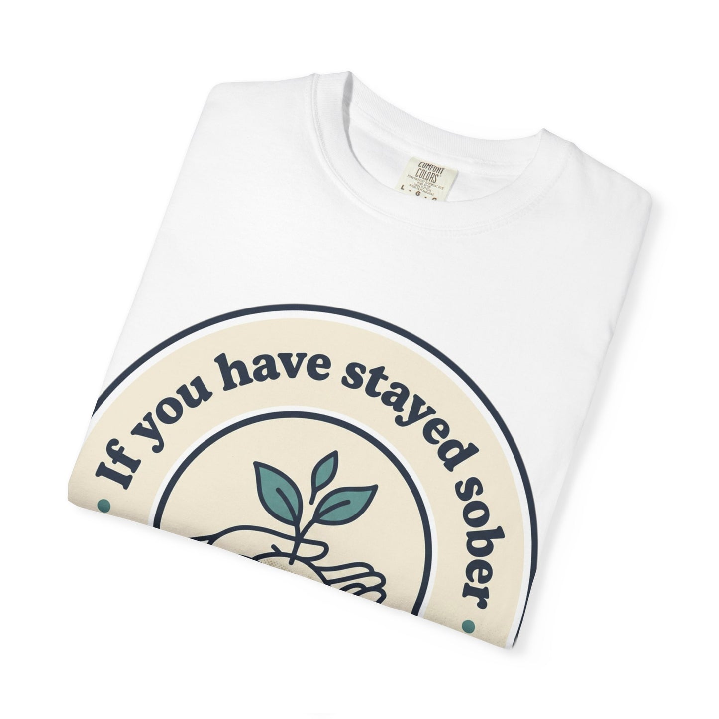 Being Sober Is Something to Be Proud Of T-shirt | Sober Pride Tee