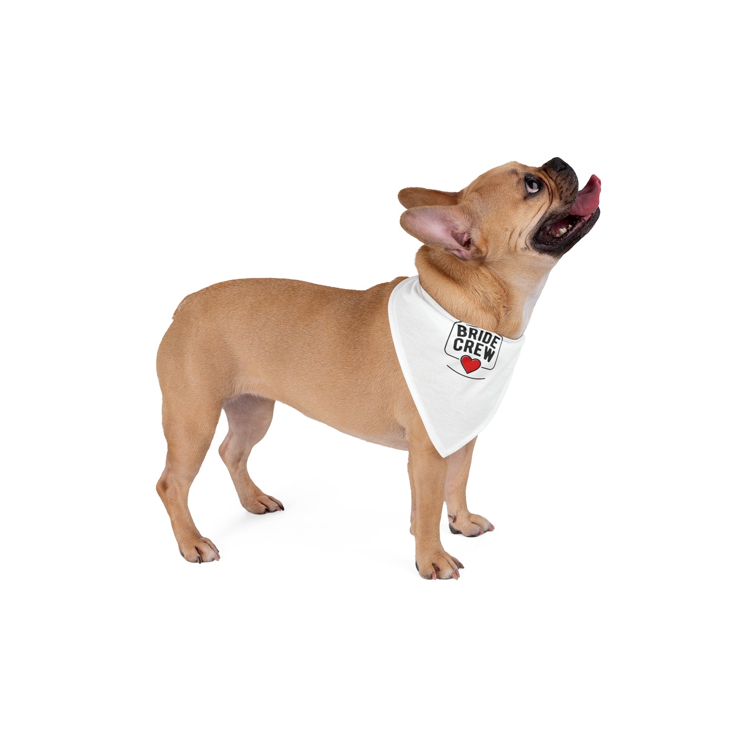 Bride Crew Pet Bandana — Wedding Dog Bandana with Heart